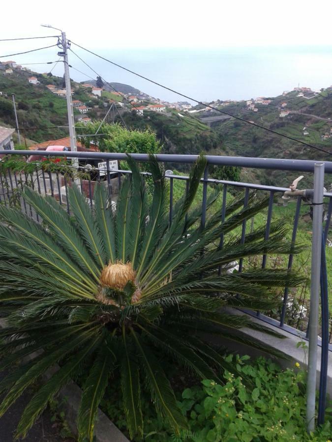 Apartamento Barros Estreito de Câmara de Lobos Exteriör bild